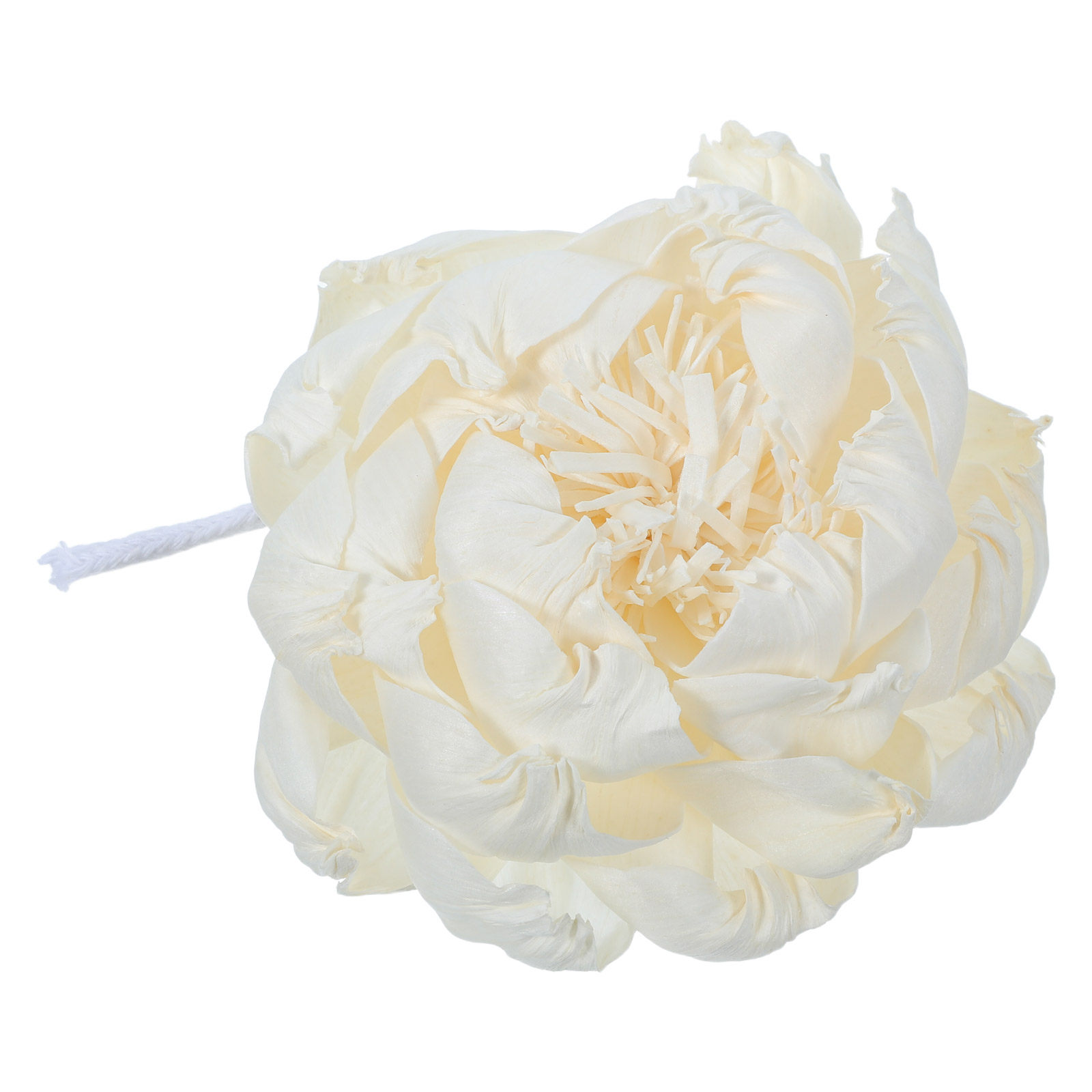Peony Head Fragrance Diffuser  - đánh giá và giá Home Fragrance Usa