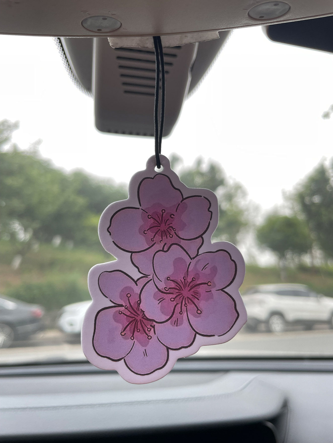 Sakura/Freesia Fresh Scent Fiv - đánh giá và giá Home Fragrance Non Toxic